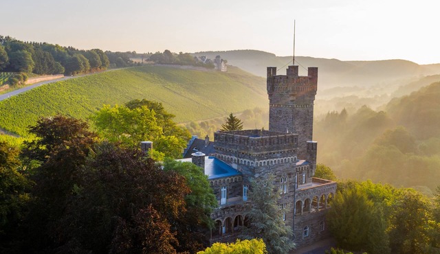 Saar Castle - Unique Castle in Wine Region