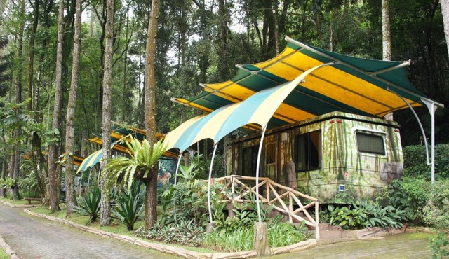 Safari Resort