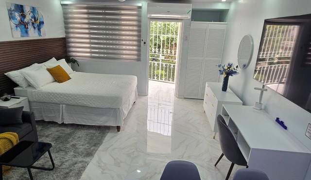 Safe Haven Studio apartment with AC in vibrant Kingston