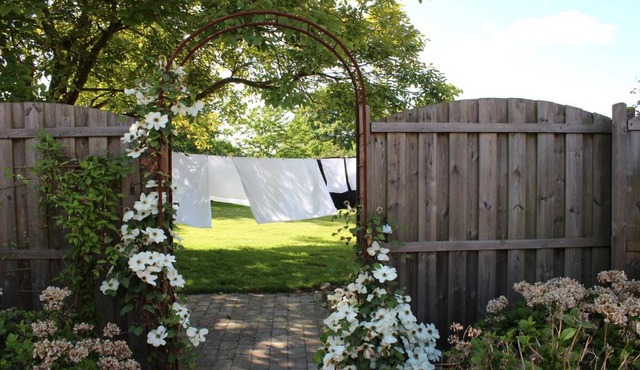 Safine B&B