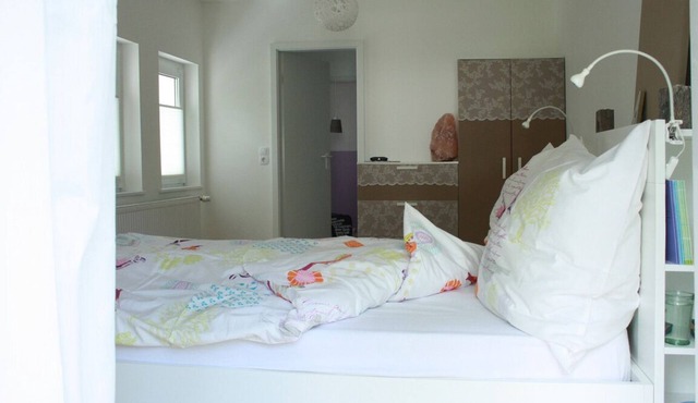 Salt squirrel apartment between forest and lake