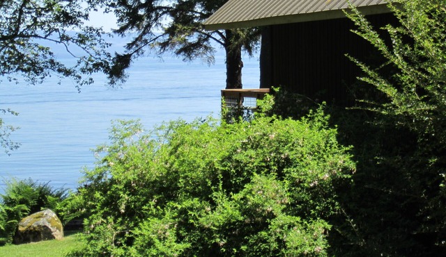 Saltwater Frontage - Spectacular Views - Secluded, quiet, and peaceful