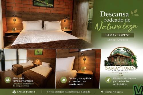 SAMAY FOREST- MASHPI AMAGUSa