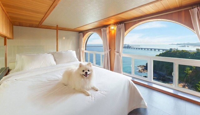Samcheok Peacehousing Spa Pet Pension