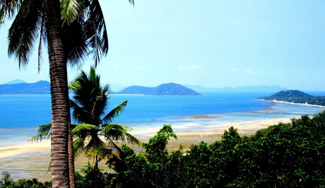 Samui Hideawa B & B "in the cool forest but minutes from the sea"