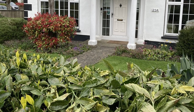 San Augustine Bed & Breakfast