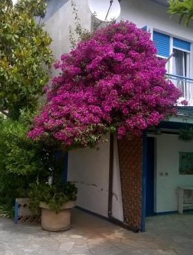 SanBart Villetta con Giardino