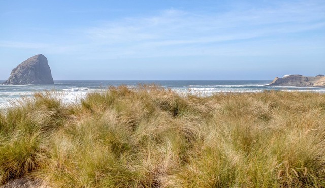 Sandcastle-pacific City