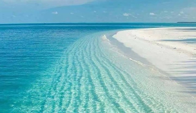 SandDollar Cottage. Ideally Located in the Center of Eleuthera