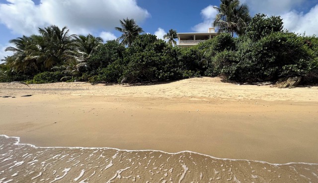 Sands Beachfront Tropical Beach & Pool Experience!