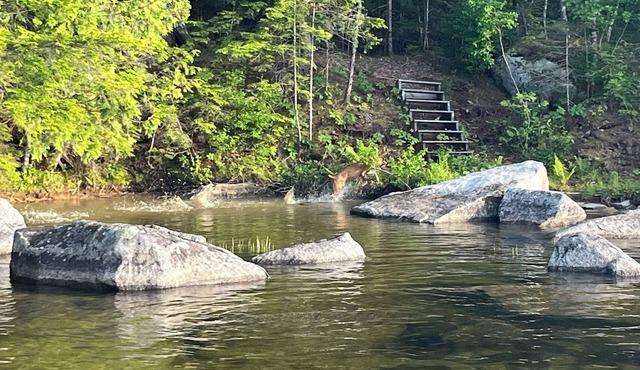 Sandy Cove