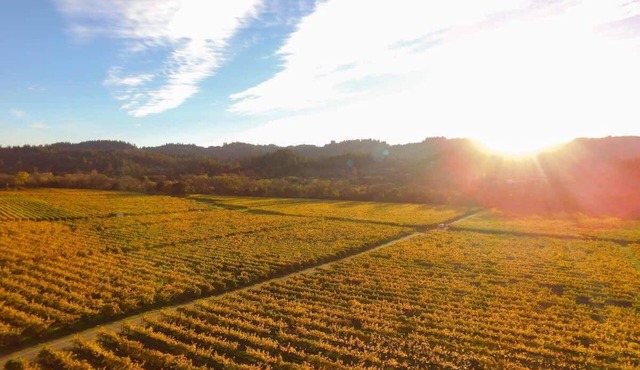 Santini Farmhouse - Wine Tastings Included
