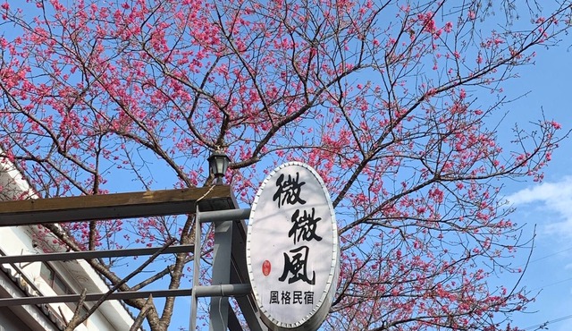 Sanyi Wei Wei Feng
