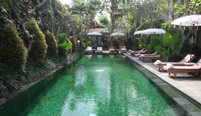 Sapodilla Ubud