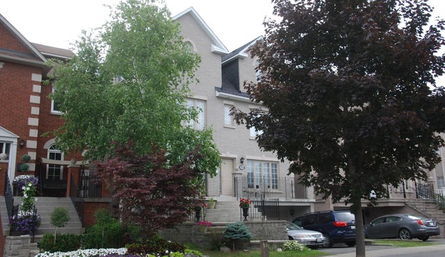 Sara’s Place - Strictly Kosher Home Beautiful basement Apartment