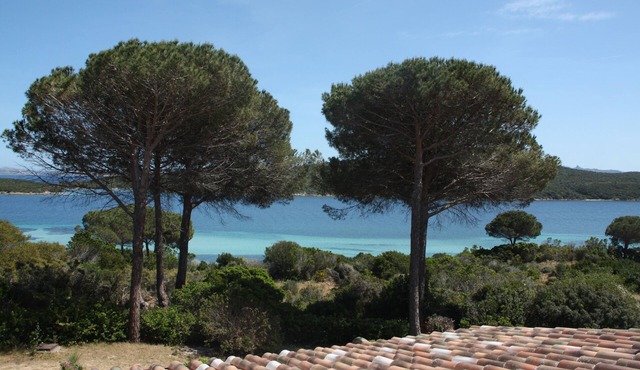 Sardinia - Maddalena- Gallura- Costa Smeralda 2 minutes from the beach, sea view