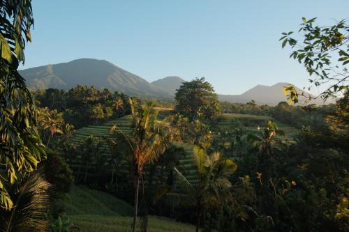 Saridevi Ecolodge
