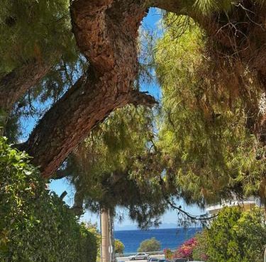 Saronida Beachwalk Stay