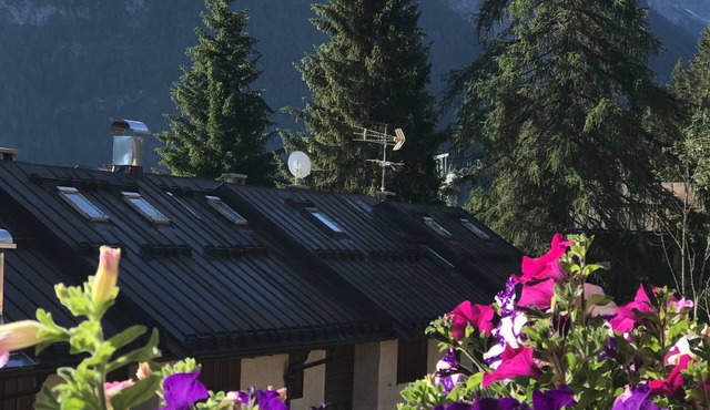 Sasso Rosso Apartment with Alps View