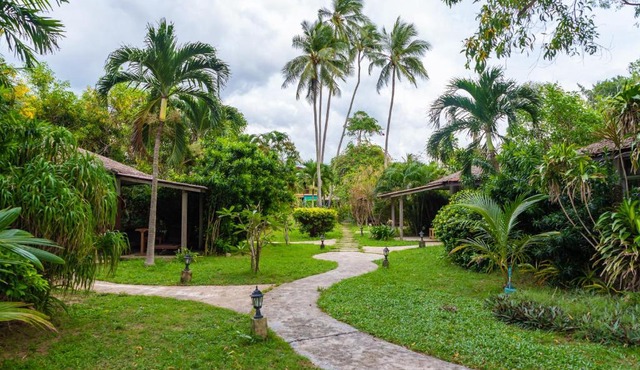 Satva Samui Yoga and Wellness Resort