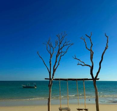 Savannah Beach