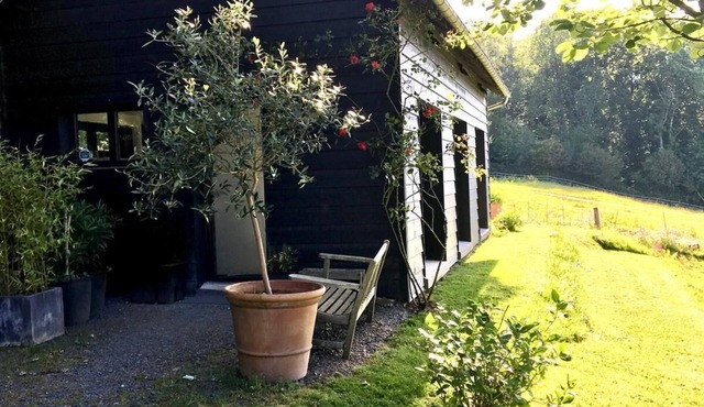 Scandinavian-style house in the middle of greenery