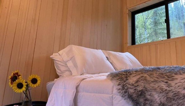 Scandinavian Micro-Cabin