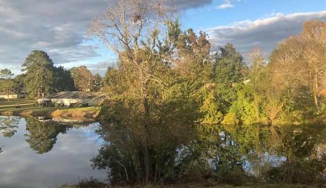 Scenic Waterviews - 2/2 King Condo with pool
