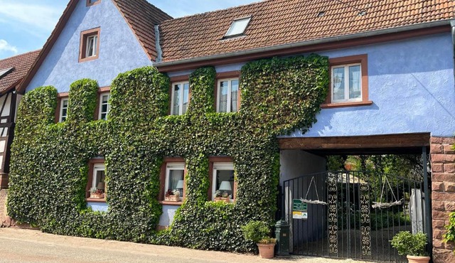 Schönbachhof