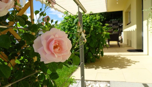 Schöne 2-Zimmerwohnung mit Gartensitzplatz, nahe Sursee