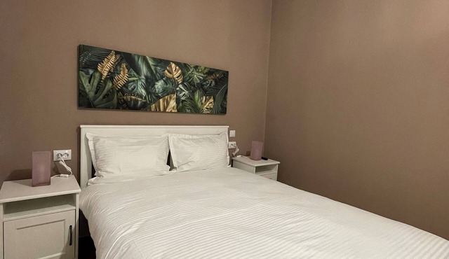 Schei Central Studio 3 in the heart of Brasov