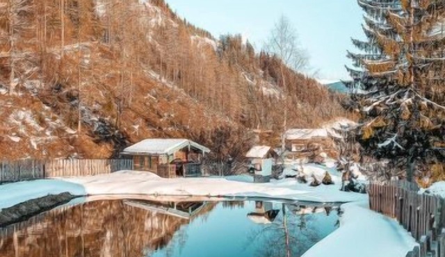 Schnee Eule by Interhome