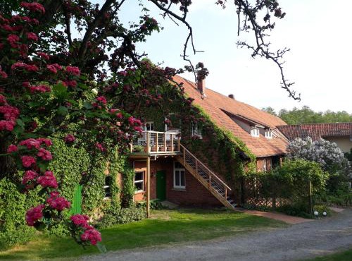 Schwalbennest