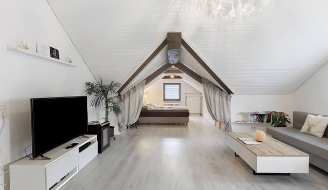 Schwarzwaldglück Loft St. Blasien – Balcony & Wi-Fi in the Black Forest