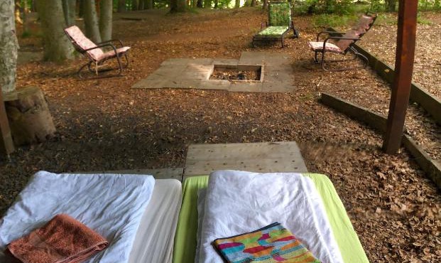 Schwedischer Shelter unter Buchen