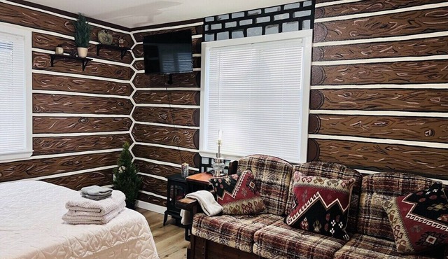 Scout- a rustic “cabin” apartment, very fast wifi
