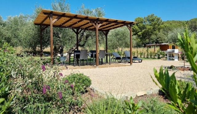 Sea ​& Olive trees