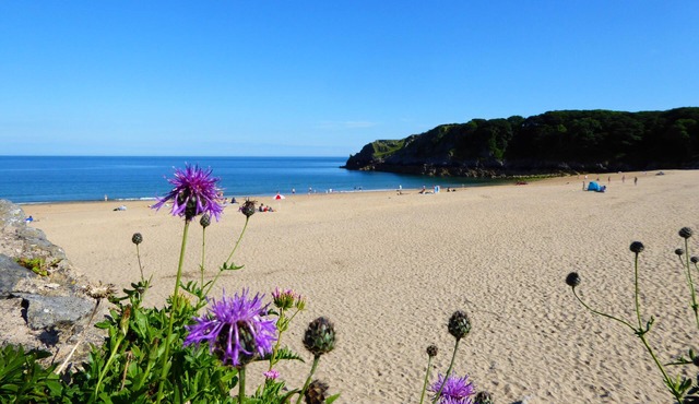 Sea views from every window, walks from the door. Dog Friendly.