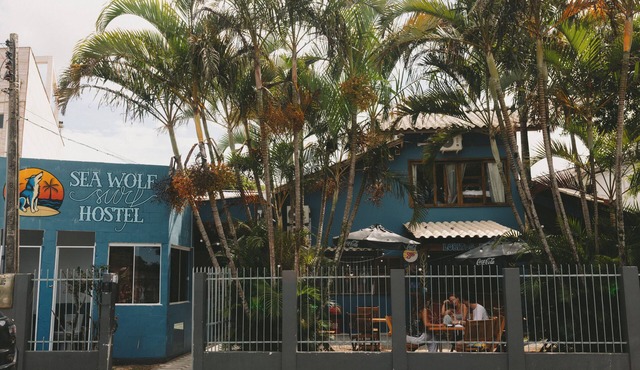 Sea Wolf Surf Hostel - Campeche