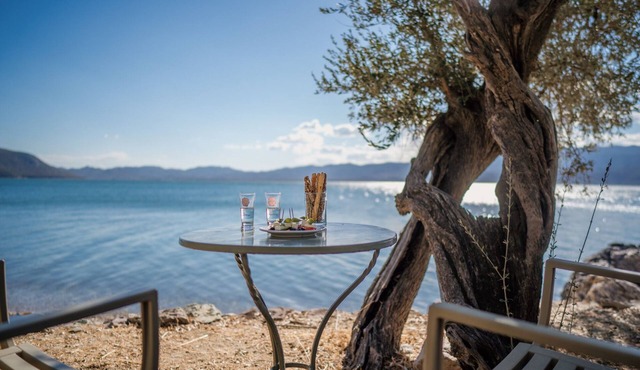 Seafront Away-from-it-all Stone House in Sunset Olive Grove