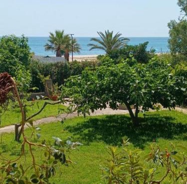 Seafront