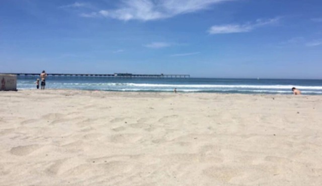 Seagull Cottage - Perfect Beach House Location! Remodeled Steps from Ocean Beach