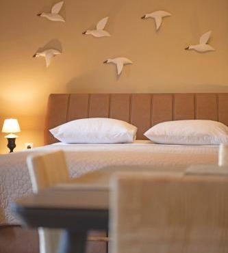 Seagulls' House