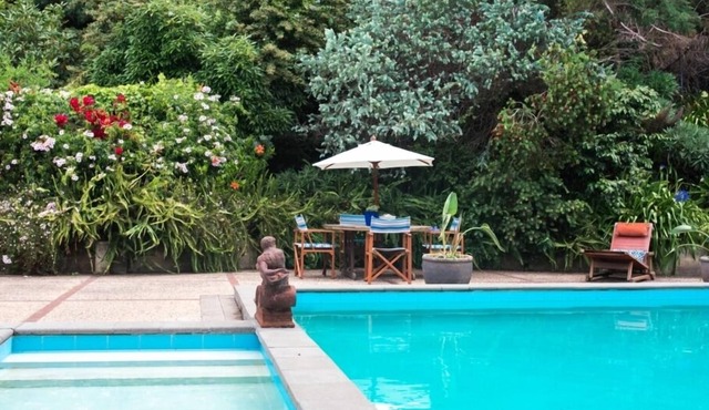 Seahurst Apartment Napier, swim,stay,play.