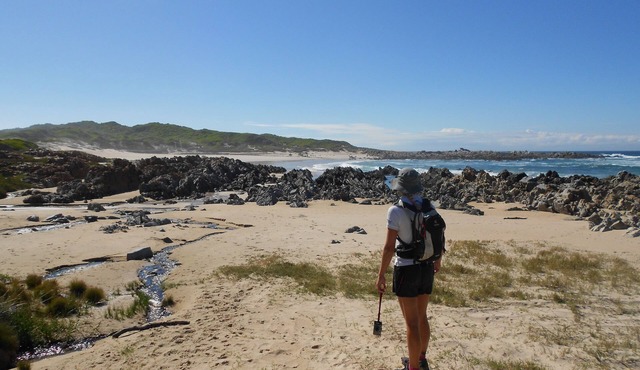 Seals Backpackers