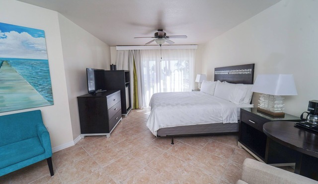 Seaside Dream! 2 Spacious Units, Oceanfront Property, Near Camana Bay