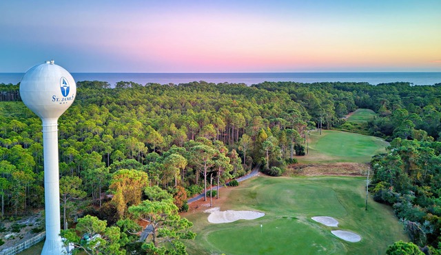 Seaside Escape with Private Gulf Access 3b/3b