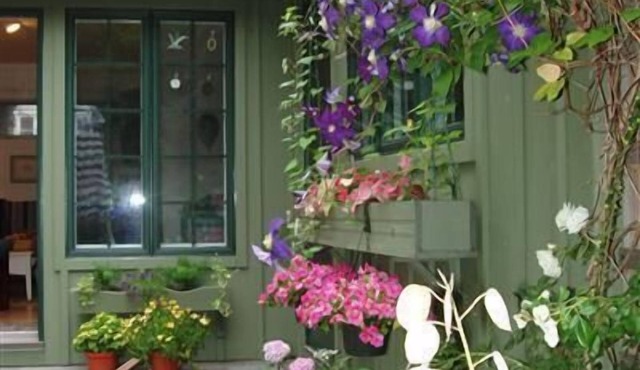Seaside Garden: 2 min walk to the Bay, peaceful, private, bird haven.
