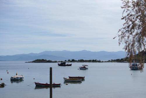 Seaside Resort