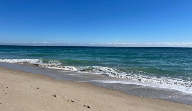Seaside serenity studio
